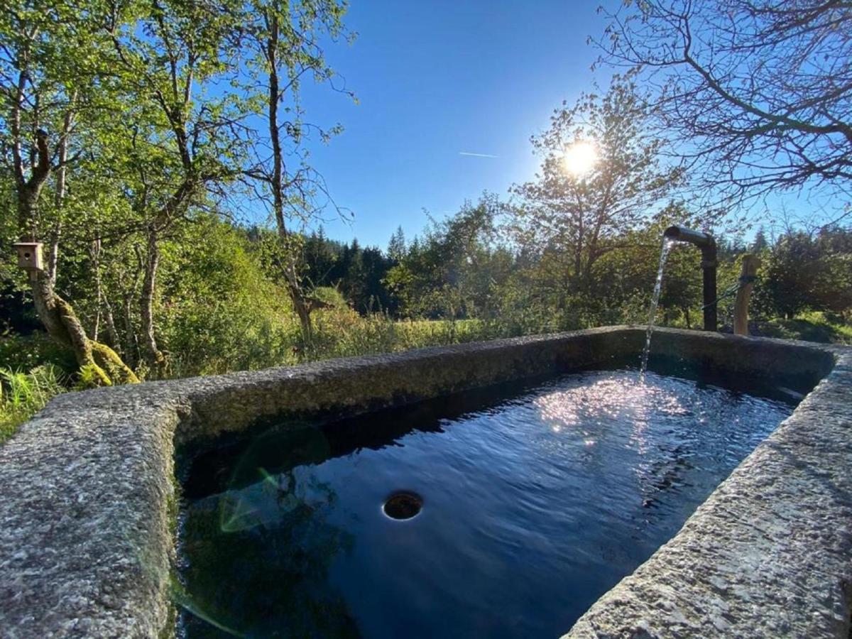 Ferienhaus Klause Neureichenau Esterno foto