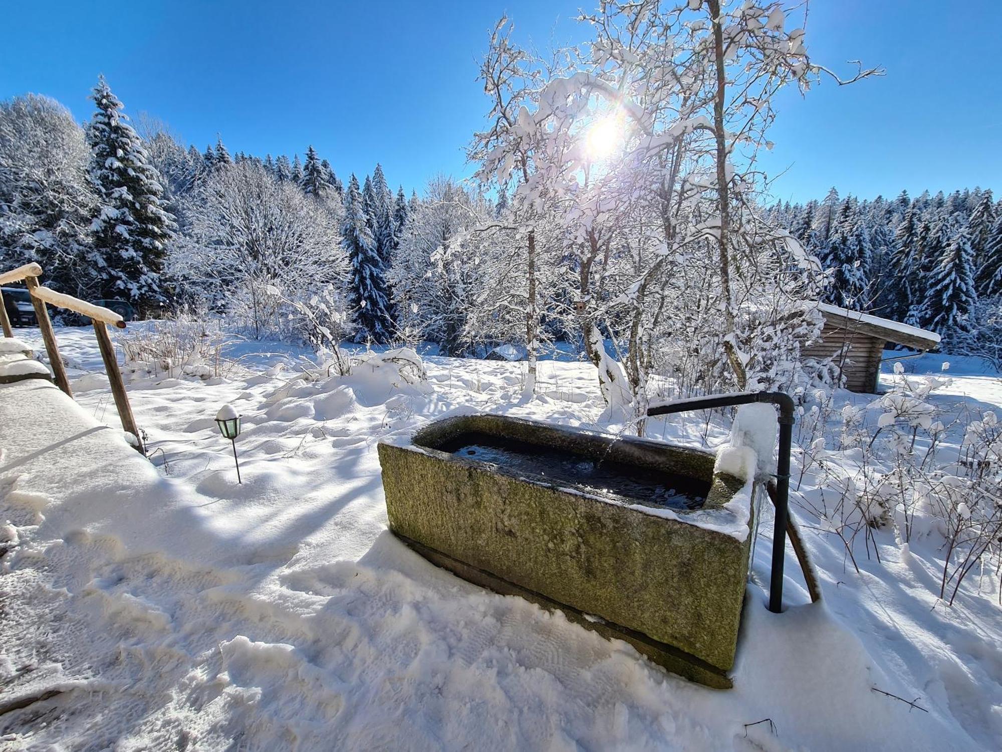 Ferienhaus Klause Neureichenau Esterno foto