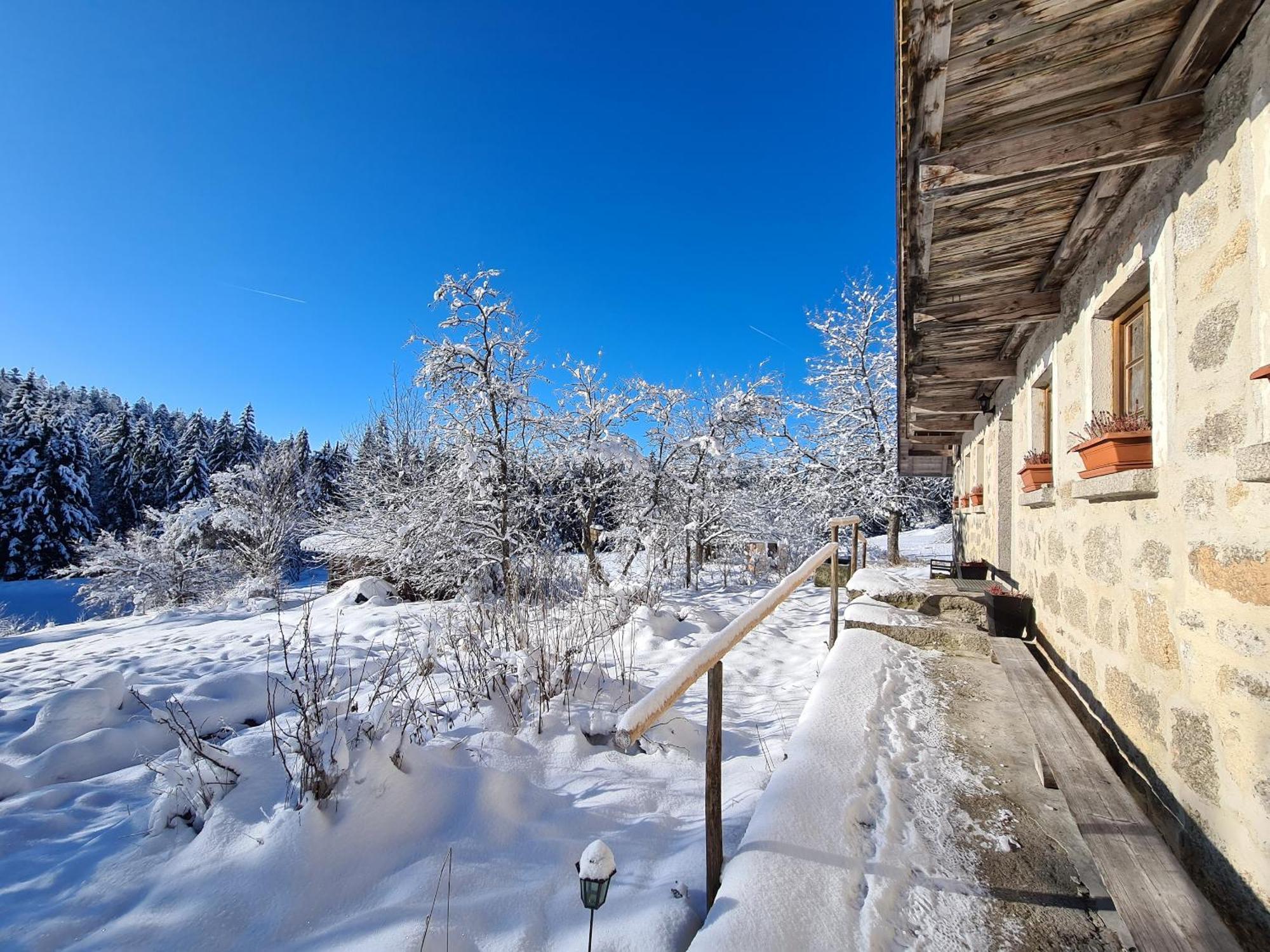 Ferienhaus Klause Neureichenau Esterno foto